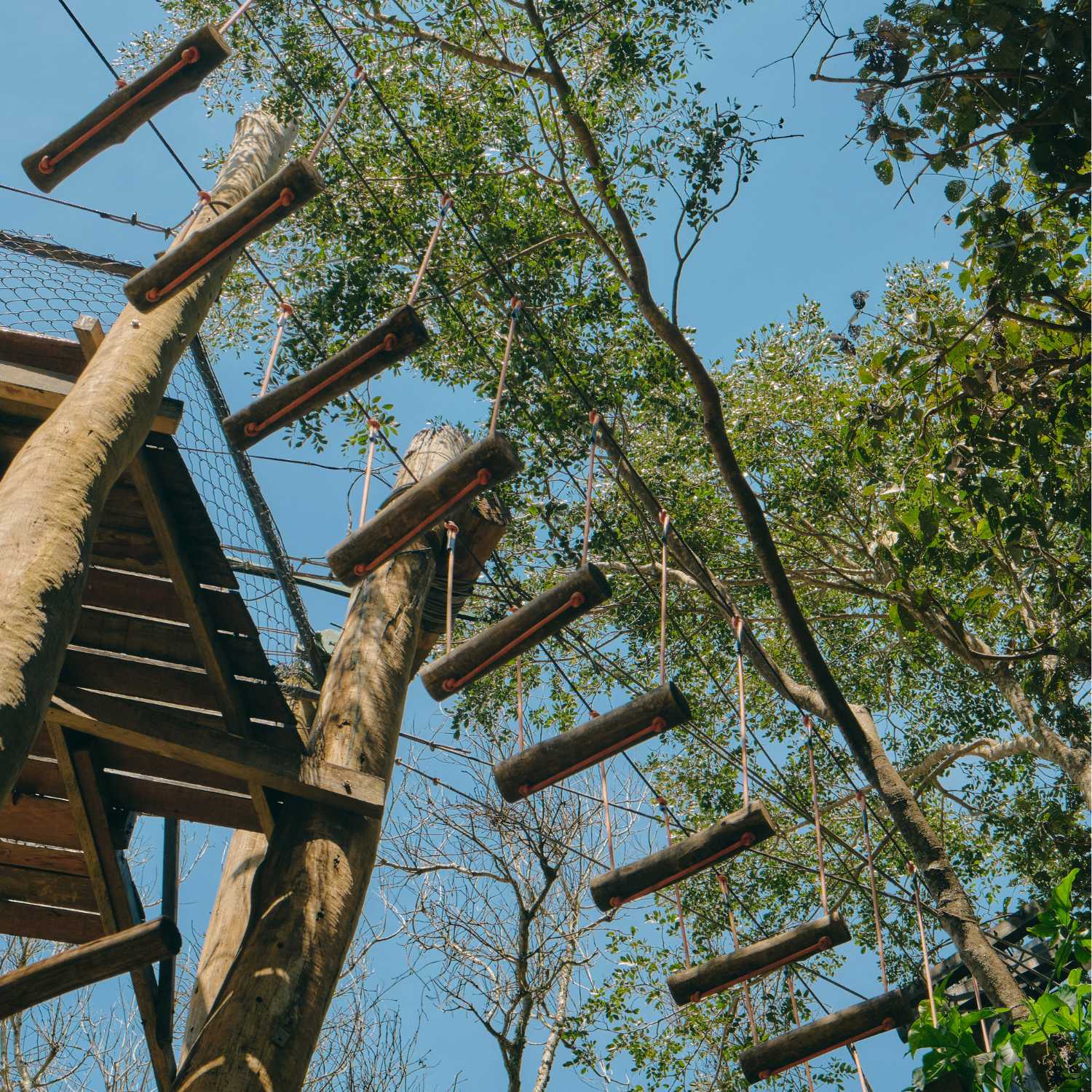 Restaurant &Ograve;liba